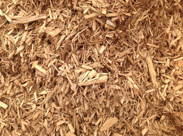 Grade B Cypress - Image 3