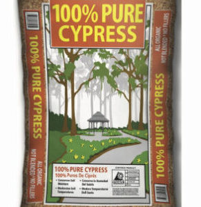 Grade B Cypress